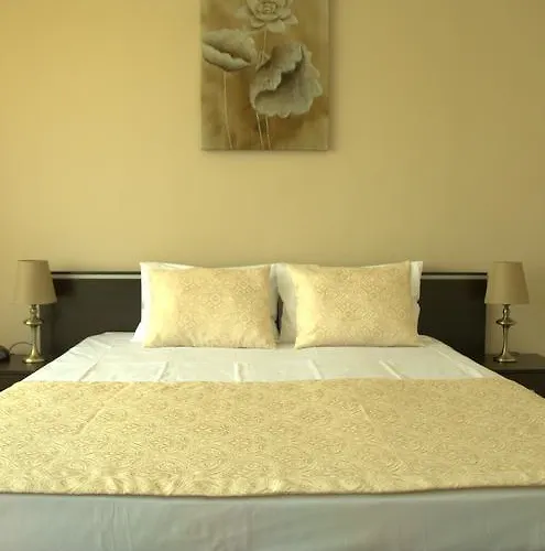 Хотел къща за гости сани