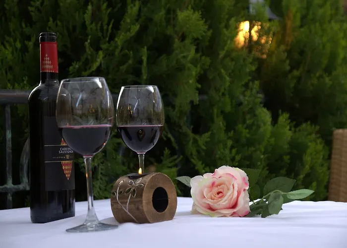 Хотел къща за гости сани